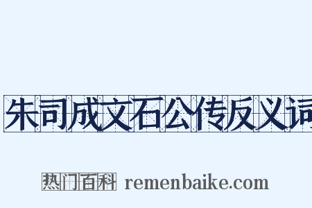 朱司成文石公传反义词是什么意思的图片